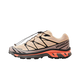Salomon XT-6 Hazelnut Quail
